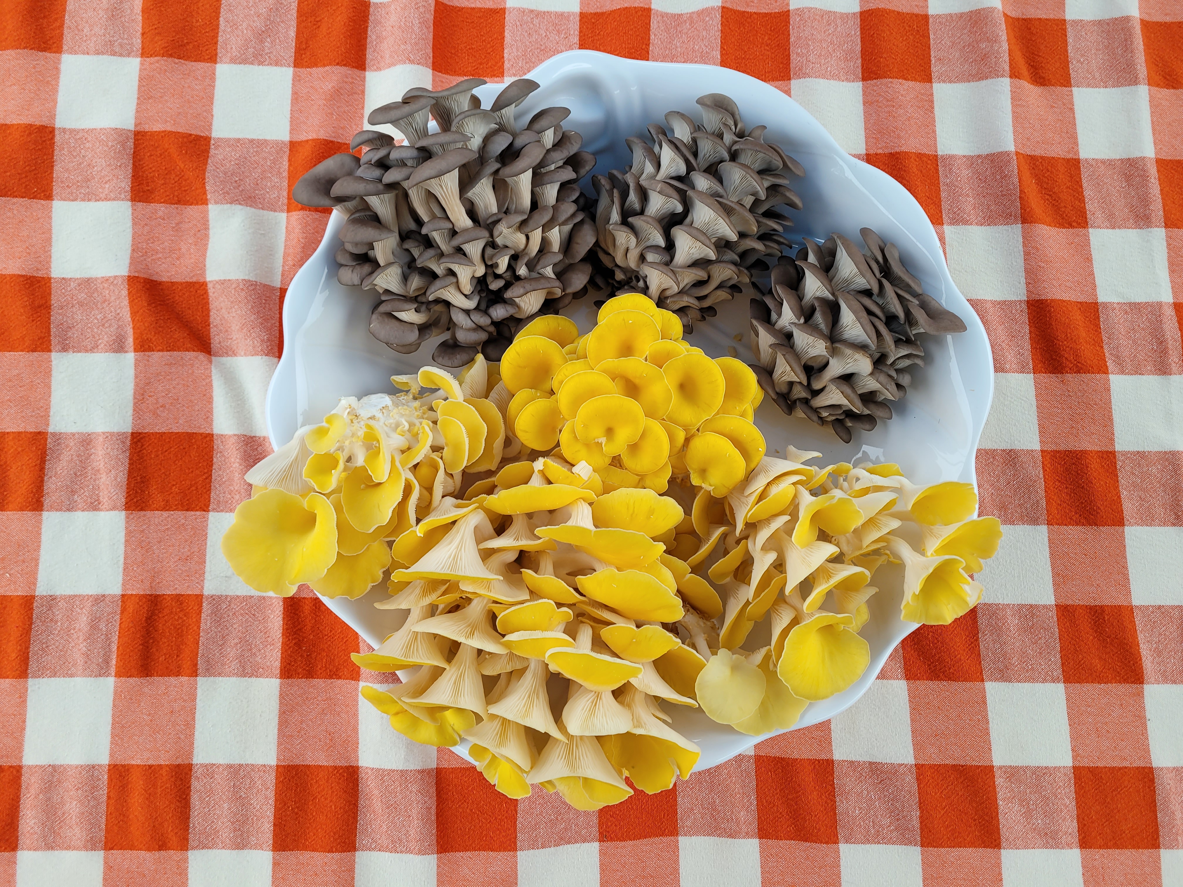 Fresh baked goods and mushrooms